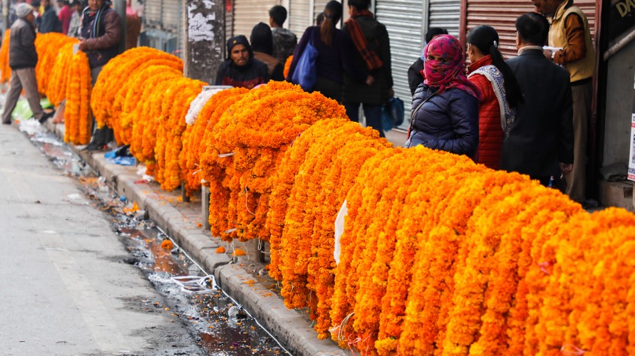 तिहारमा ३ लाख फूलमाला भारतबाट आयात हुने